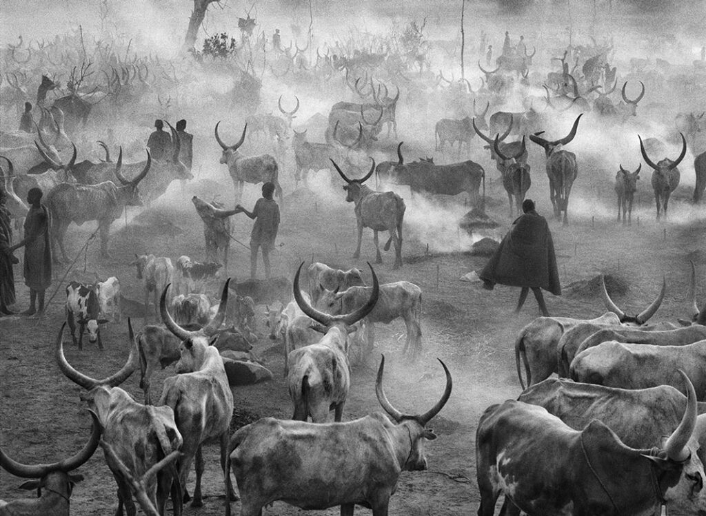 Sebastiao Salgado - Dinka cattle camp @ Sudan 2006