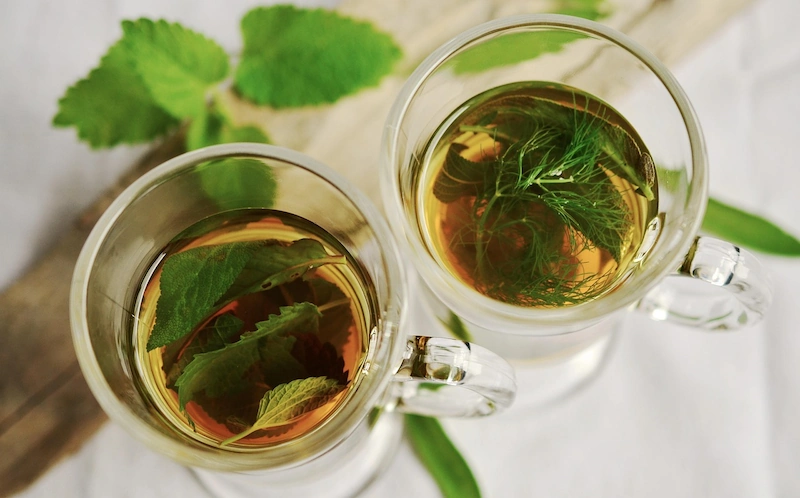 best herbs for indoor garden teas
