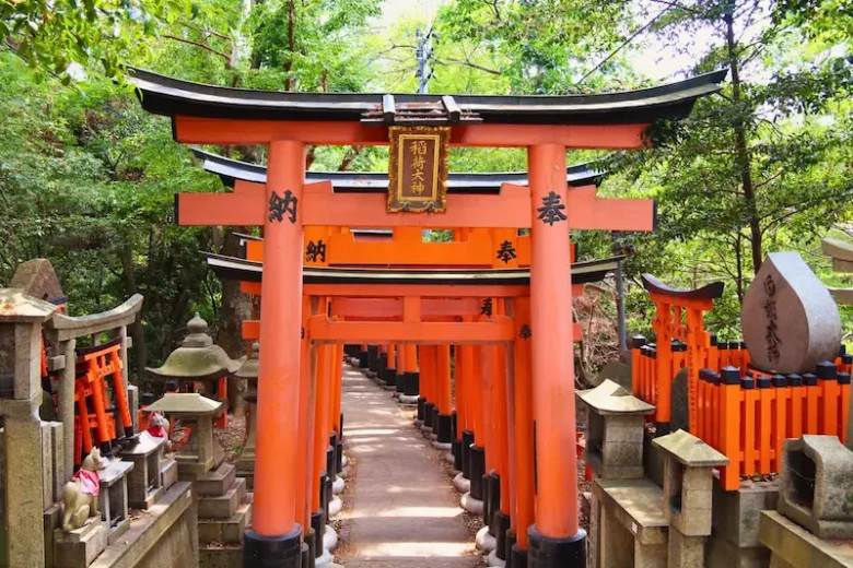 cultural immersion travel in kyoto