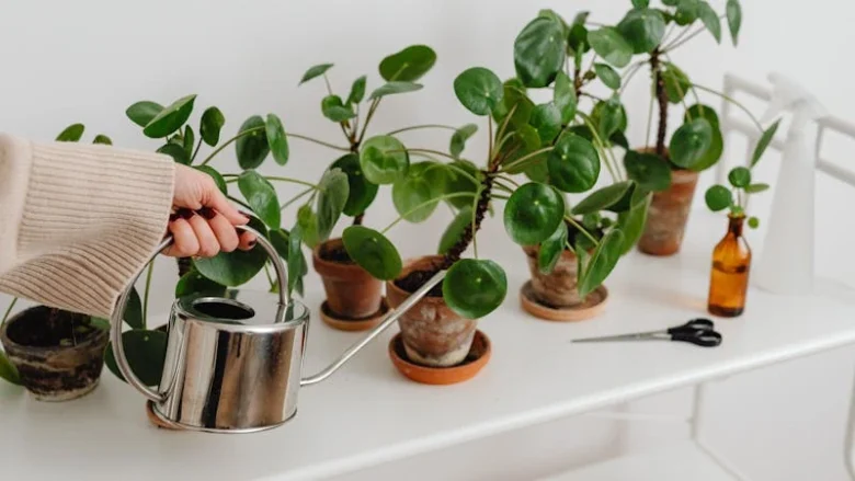 enjoy the moments of the life