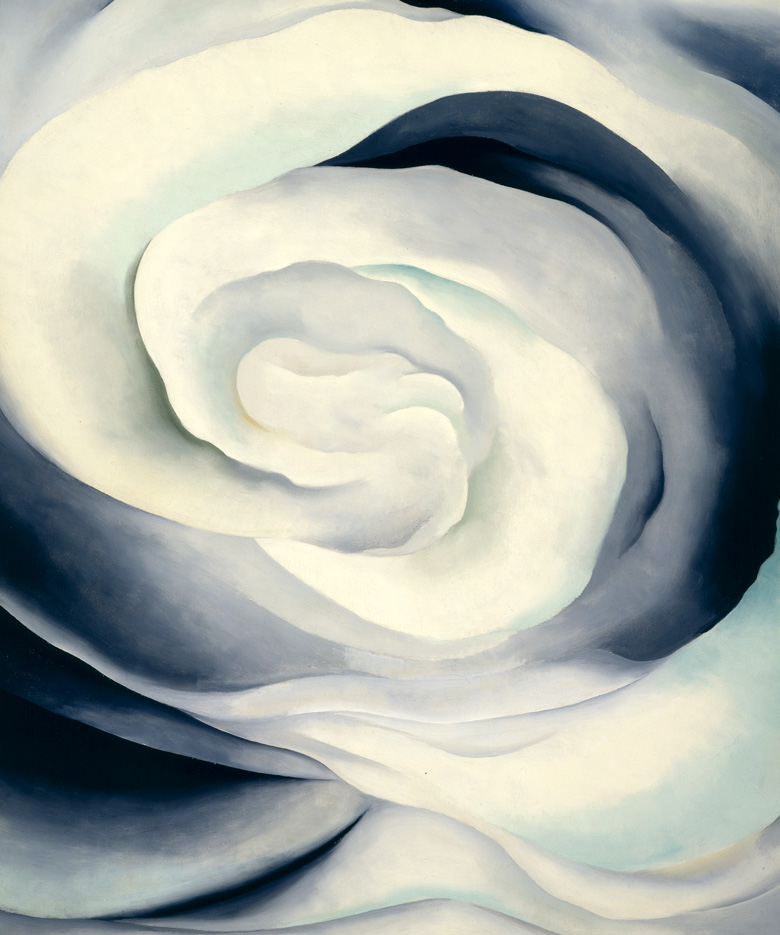 georgia okeeffe abstract white rose